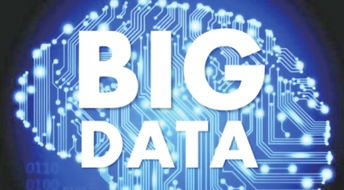 大數(shù)據(jù)技術(shù)項(xiàng)目 內(nèi)包與外包策略抉擇及其對(duì)軟件銷售的影響